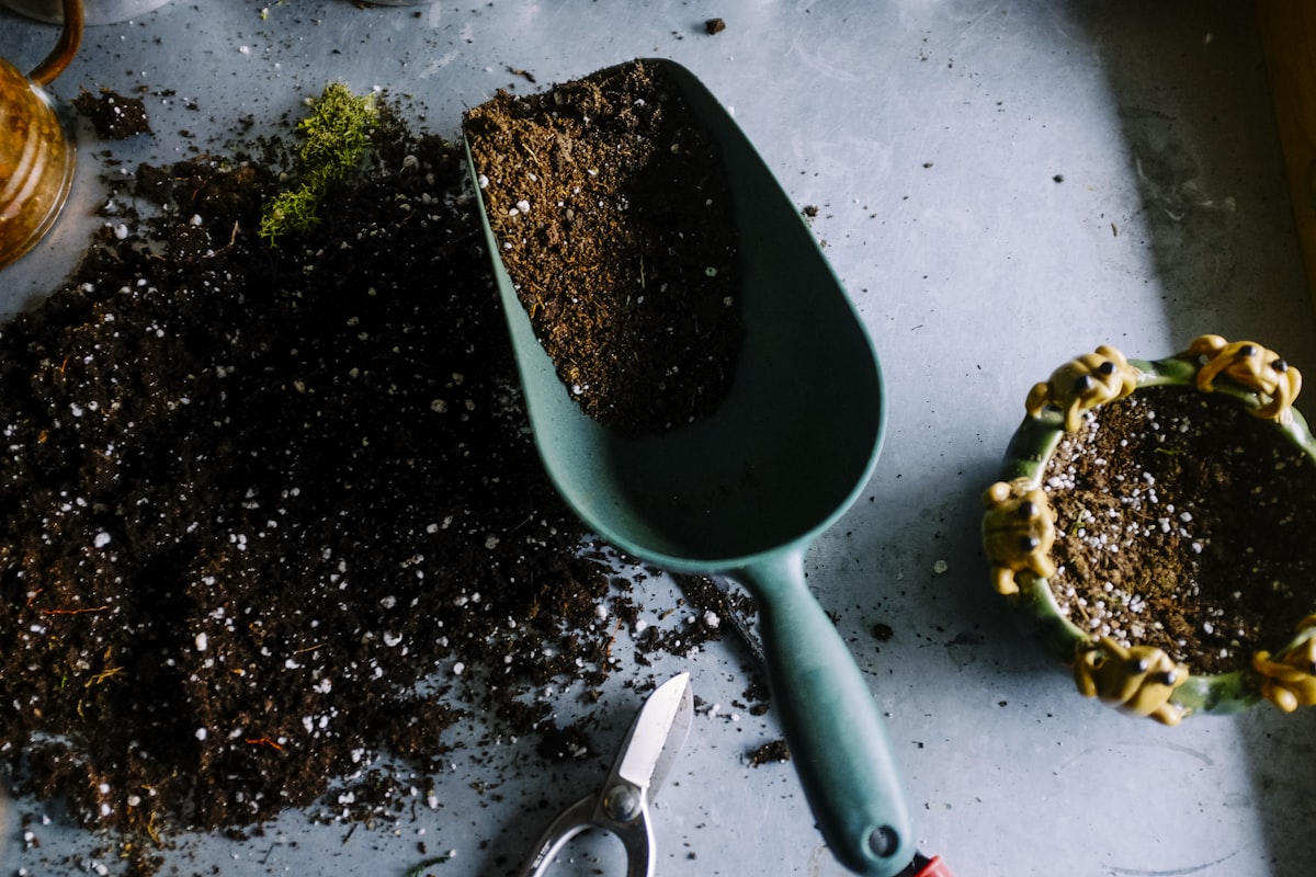 Hands working with soil and a small plant, the kind of small, patient daily care that healed me
